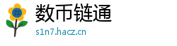 数币链通